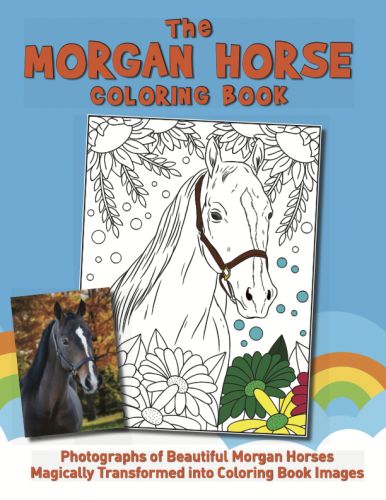 Horse And Donkey Books For Children ( Farm Books )