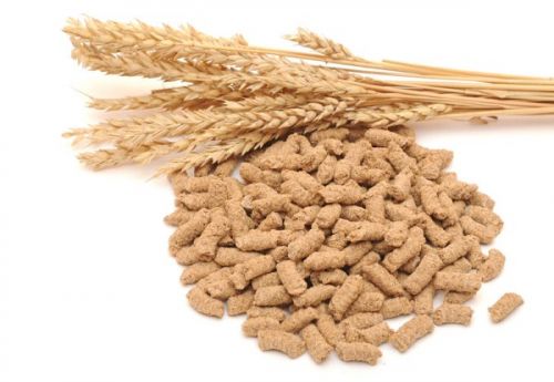 Wheat Bran For Cattle Feed ( Feed )