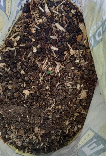 Compost And Rabbit Manure ( Fertilizer Application )