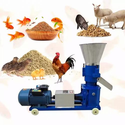 Animal Feed | Chicken Feed | Fish Feed | Livestock Feed ( Feed )
