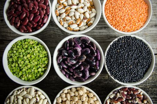 Bulk Supply Of Seeds | Grains | Cereals | Nuts ( Seed )