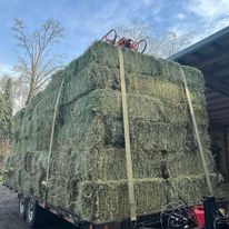 Alfalfa Timothy And Orchardgrass Hay Bales For Sale ( Bales )