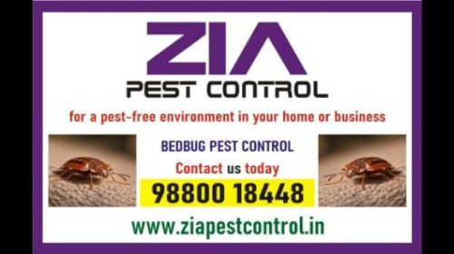 Bed Bug Pest Treatment | Hotels And Restaurents | Bedbugs Control | 6