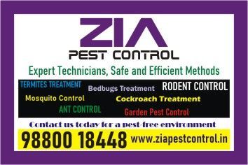 Bed Bug Treatment | Cockroach Pest Service | Upto 40% Off For Pg | 50