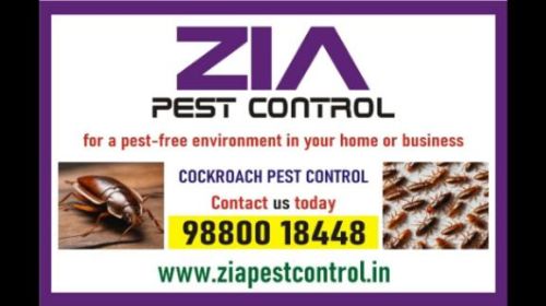 Cockroach Pest Control For Paying Guest Upto 20% Off | Zia Pest Contr