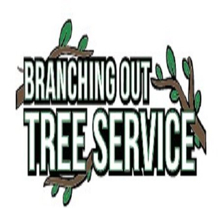 Branching Out Tree Service ( Plants/nursery )