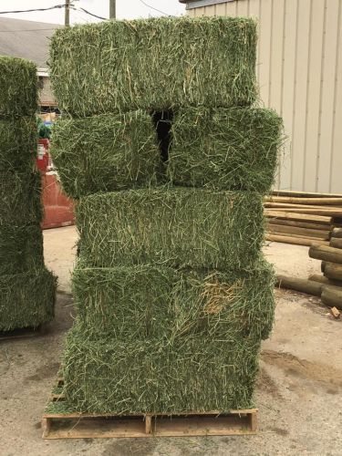 🌾 Premium Lucerne Hay For Sale – Fresh, Green & Nutrient-rich! 