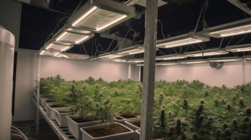 Mobile Vertical Grow Rack System ( Farm Equipment )