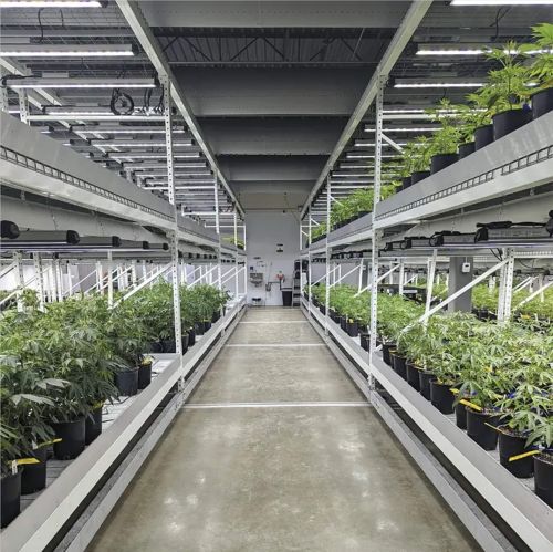 Mobile Vertical Grow Rack System ( Planting Equipment )