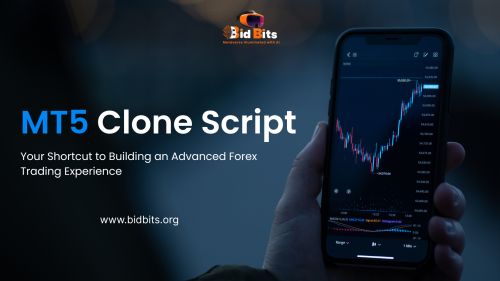 Best Mt5 Clone Script Provider In Usa (  )