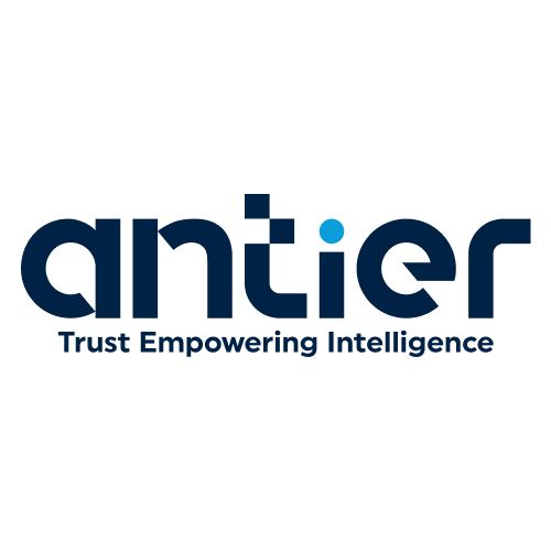 Experienced Nft Gaming Platform Development Company - Antier ( Busine