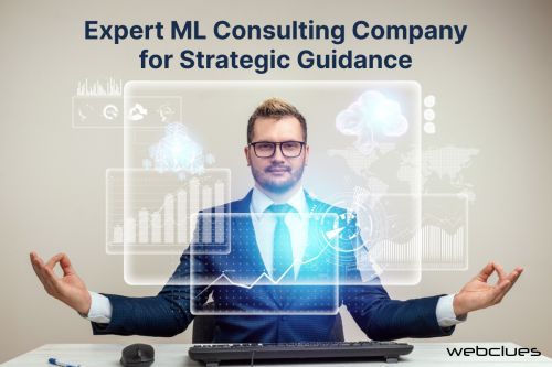 Professional Ml Consulting Company For Data-driven Success ( Software