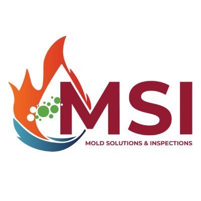 Mold Solutions & Inspections ( Business For Sale )