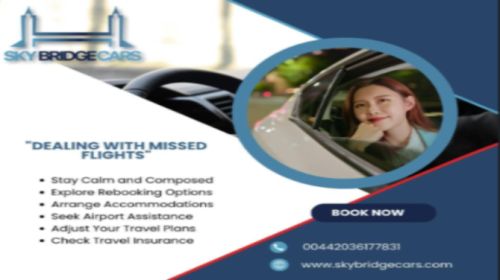 Sky Bridge Cars ( Parts )