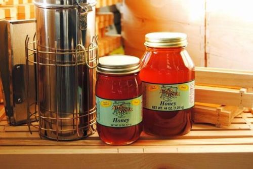 Buy Beewel’s Kashmir Honey Online ( Beekeeping Equipment )