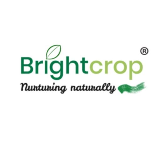 Idly Rice 30kg Pack For Soft And Fluffy Idlis ( Organic Farming )