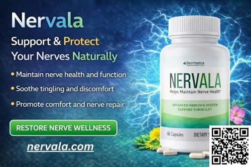 Nervala™ Reviews – Powerful Support For Nerve Health ( Business F