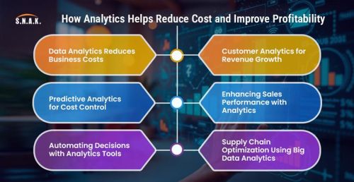 Data Analytics Reduces Cost & Improves Business Profitability ( S