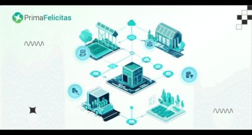 Innovative Blockchain Development Company Driving Business Growth ( M