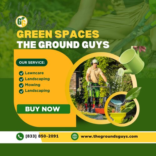 Professional Lawn Care & Landscaping Services By The Grounds Guys ( B