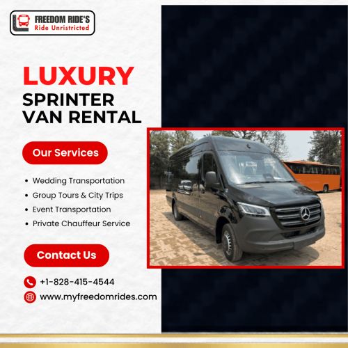 The Ultimate Choice For Group Travel Luxury Sprinter Van Rental ( Pic