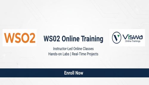 Wso2 Online Training By Real-time Trainer In India ( Software )
