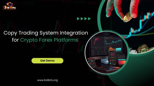 Copy Trading System Integration For Crypto Forex Platforms ( Software