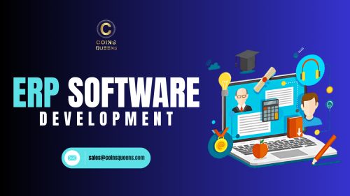 Custom Erp Software Development Solutions ( Software )