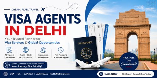 Professional Visa Services Delhi | Expert Visa Consultants ( Security