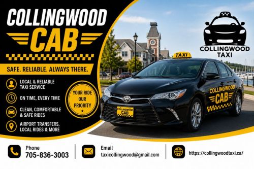 Best Wheelchair Accessible Van Ontario Services For Safe & Comfortabl