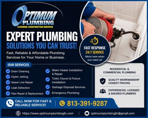 Expert Drain Cleaning In Tampa To Clear Tough Clogs Fast ( Alpacas )