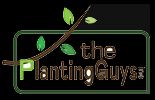 Tree Installation Mississauga Services ( Free )