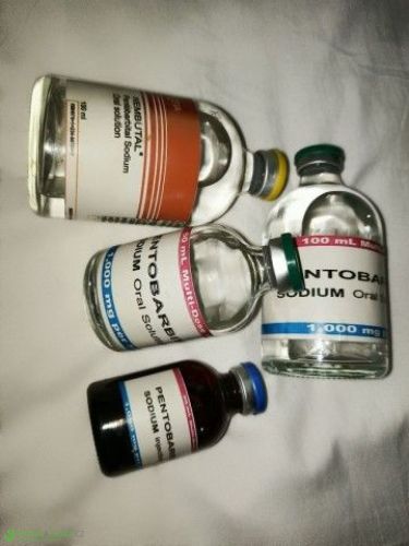 {telegram @frink002}buy Nembutal Pentobarbital Sodium Online,buy Nemb