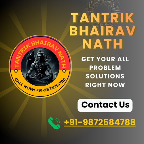 +91-9876631598 Vedic Astrology Specialist Baba Ji Noida ( Antiques )