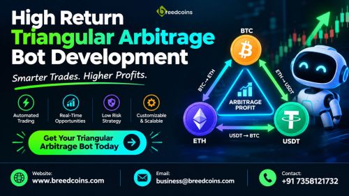 High Return Triangular Arbitrage Bot Development ( Business For Sale 