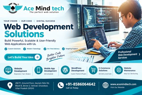 Website Designing Agency In Vaishali ( Software )