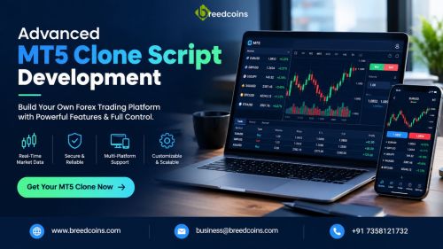 Advanced Mt5 Clone Script For Trading Platforms ( Business For Sale )