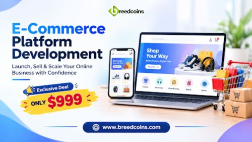 Grow Your Online Store With E-commerce Platform Development – Start